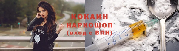 гидра Алексин