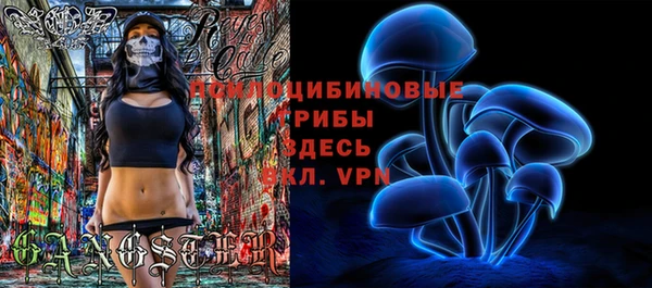 гидра Алексин