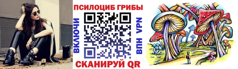 Псилоцибиновые грибы GOLDEN TEACHER  Николаевск 